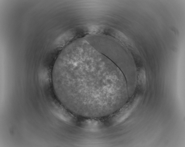 X0000111010272200906261526
