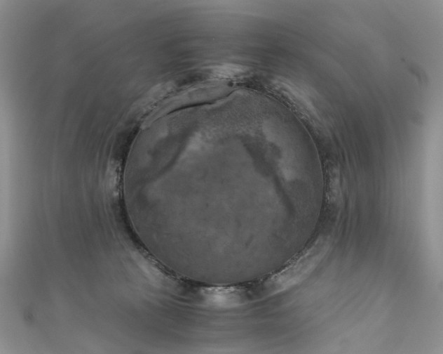 X0000111010273200906261526