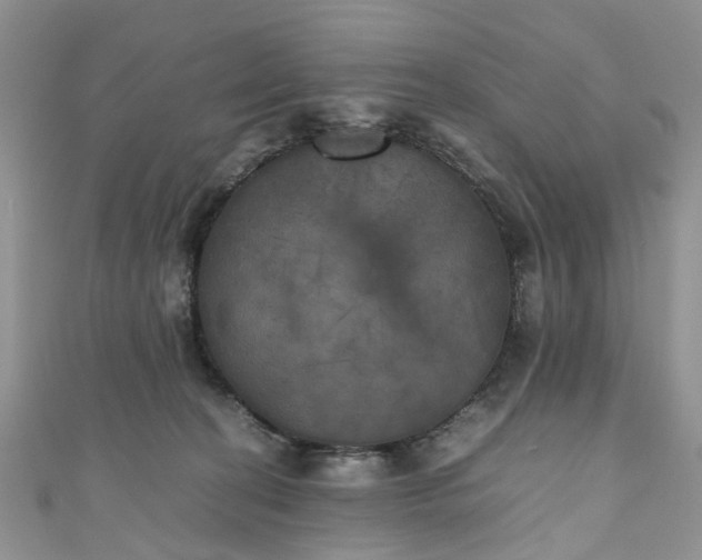 X0000111010274200906261526