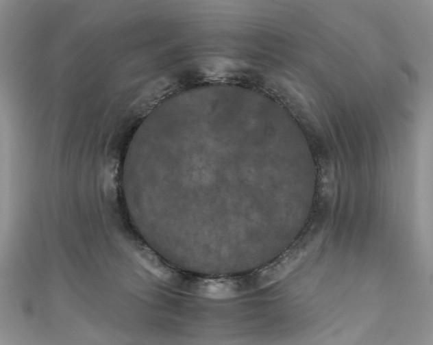 X0000111010275200906261526