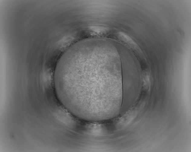 X0000111010276200906261526