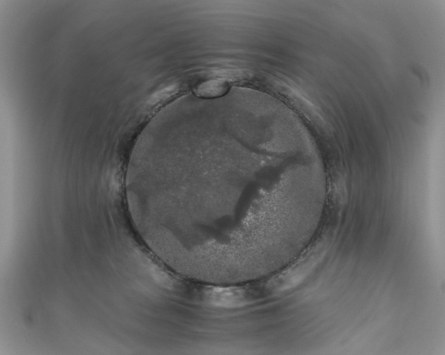 X0000111010277200906261526