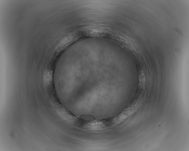 X0000111010278200906261526