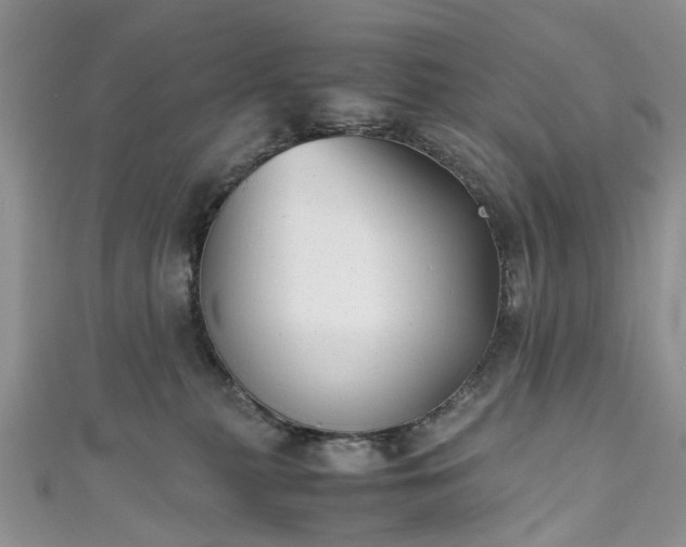 X0000111010279200906261526