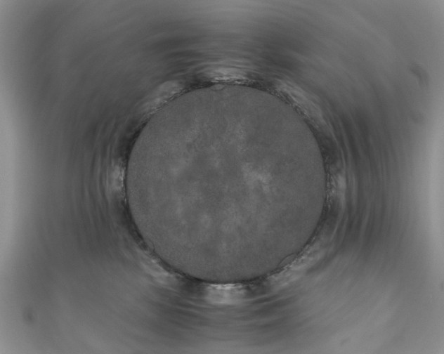 X0000111010281200906261526