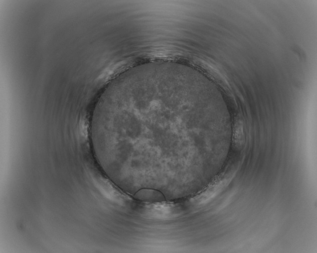 X0000111010282200906261526