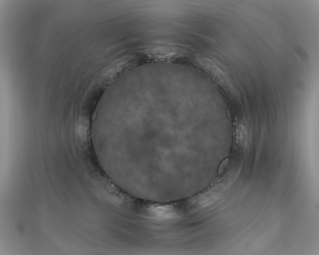 X0000111010283200906261526