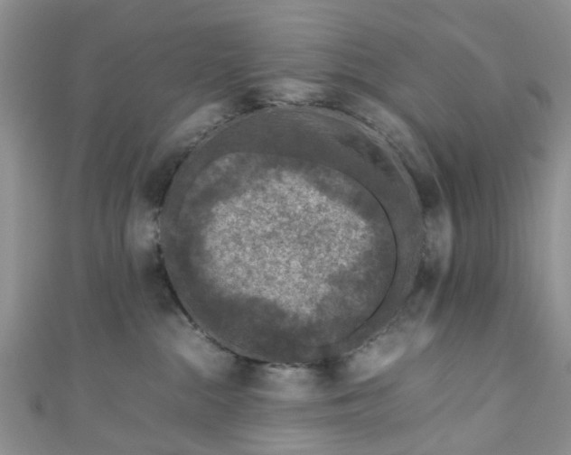 X0000111010284200906261526