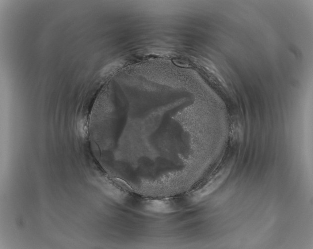 X0000111010285200906261526
