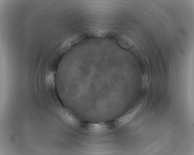 X0000111010286200906261526