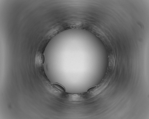 X0000111010287200906261526