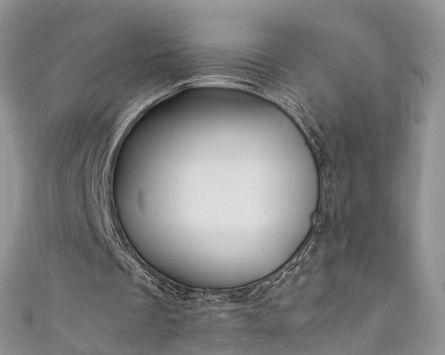 X0000111010289200906261525
