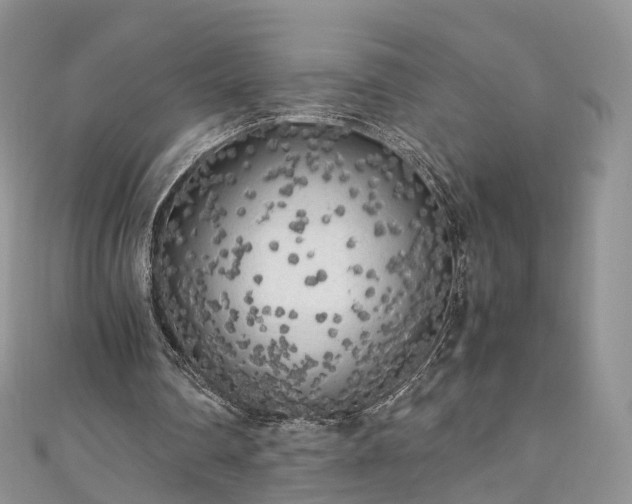 X0000111010290200906261525
