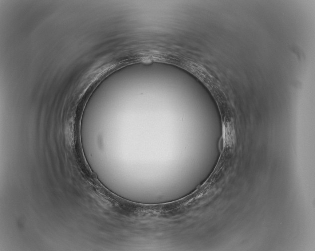 X0000111010291200906261525