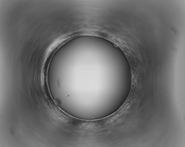 X0000111010294200906261525