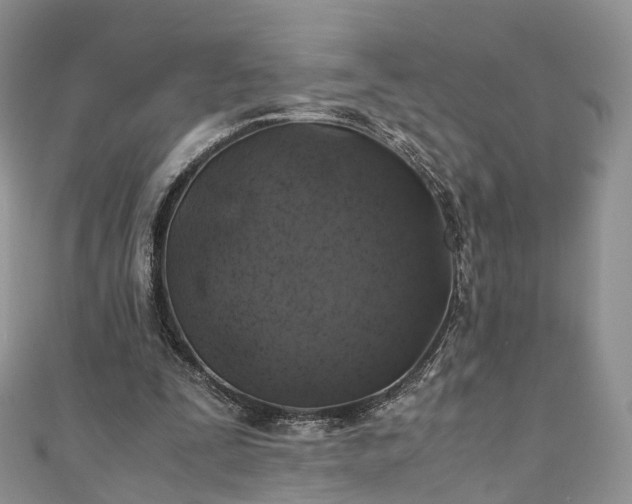 X0000111010295200906261525