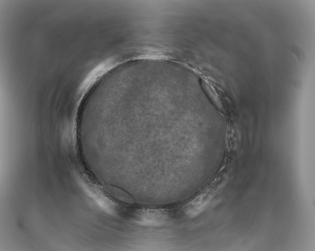 X0000111010296200906261525