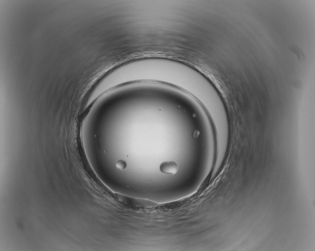X0000111010297200906261525