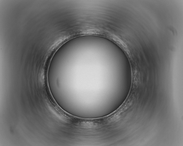 X0000111010298200906261525