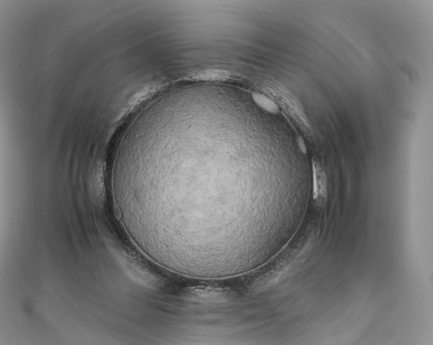 X0000111010300200906261525
