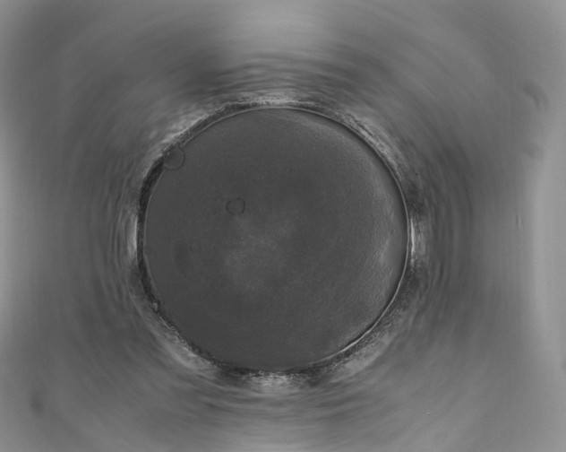 X0000111010301200906261525
