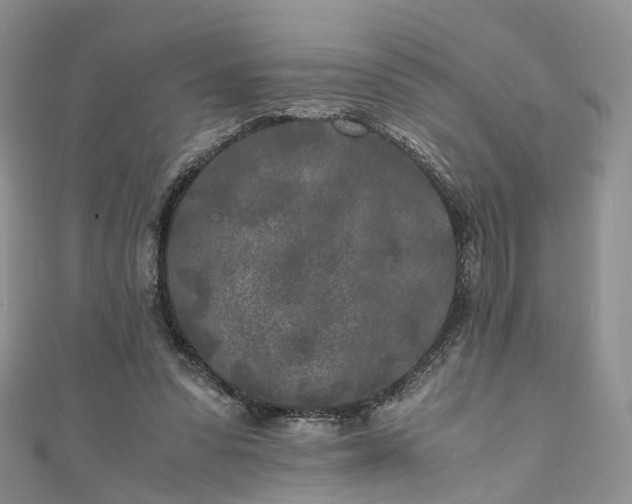 X0000111010303200906261525