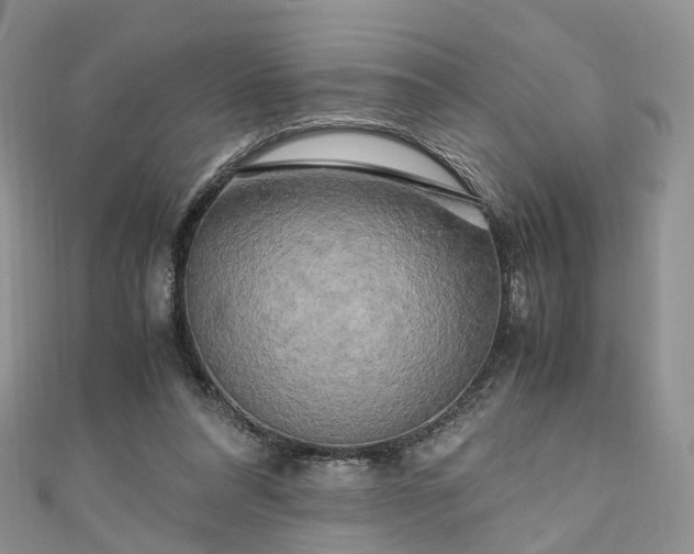 X0000111010304200906261525