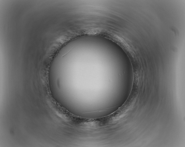 X0000111010307200906261525