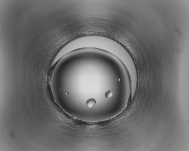 X0000111010309200906261525