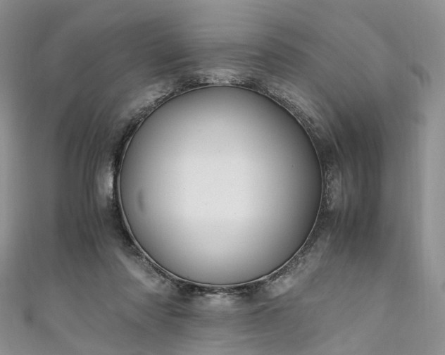 X0000111010310200906261525