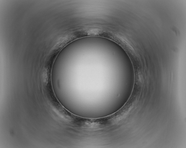 X0000111010311200906261525