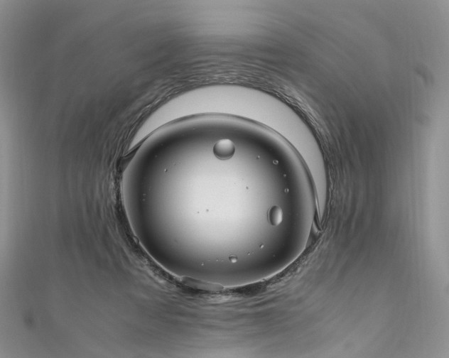 X0000111010313200906261525