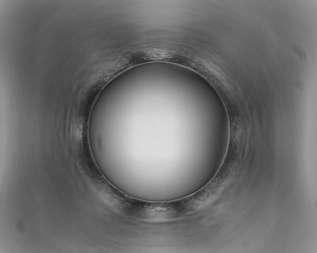 X0000111010315200906261525