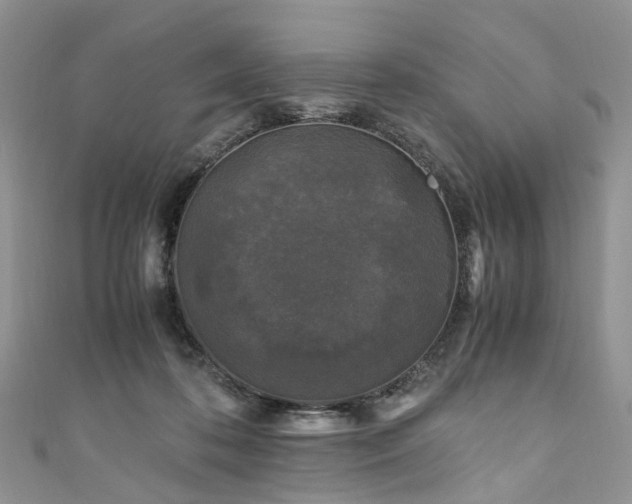 X0000111010316200906261525