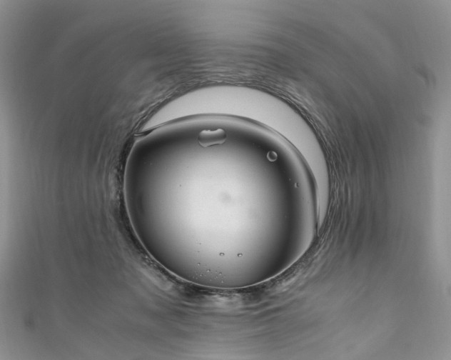 X0000111010317200906261525