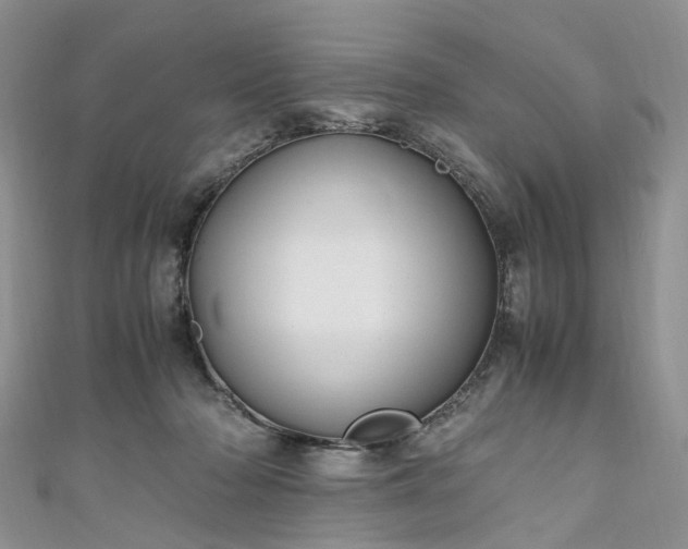 X0000111010318200906261525
