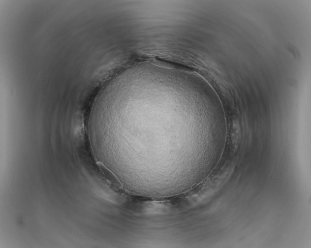 X0000111010320200906261525