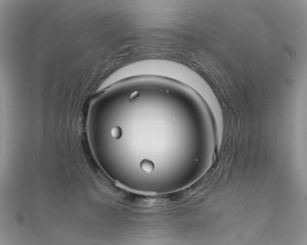 X0000111010323200906261525