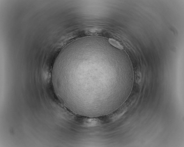 X0000111010324200906261525