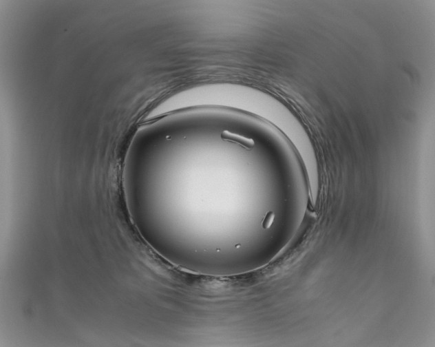 X0000111010325200906261525