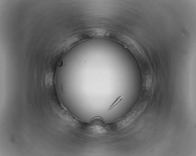 X0000111010326200906261525