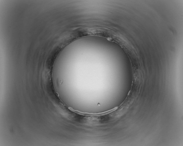 X0000111010327200906261525