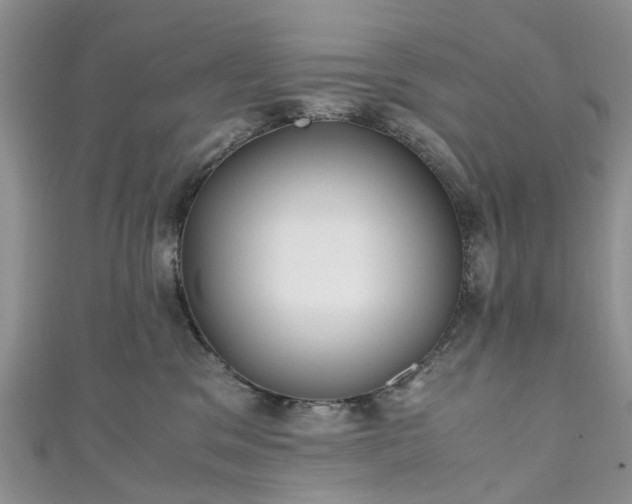 X0000111010329200906261525