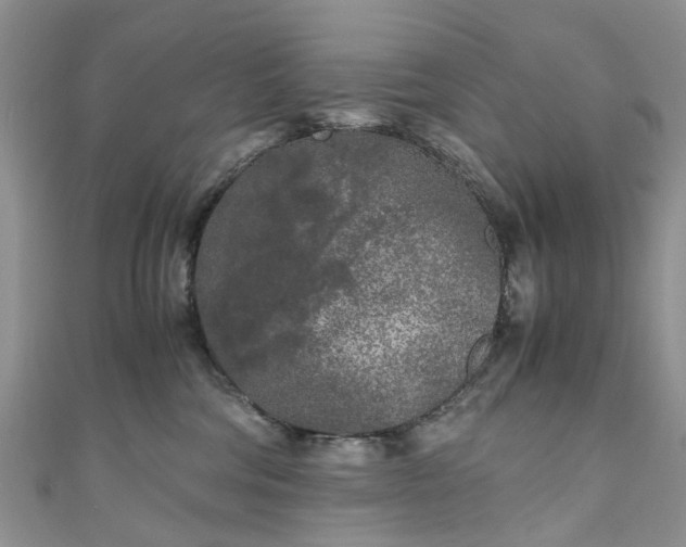 X0000111010330200906261525