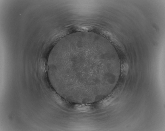 X0000111010331200906261525