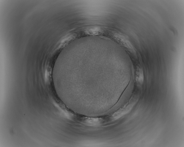 X0000111010332200906261525