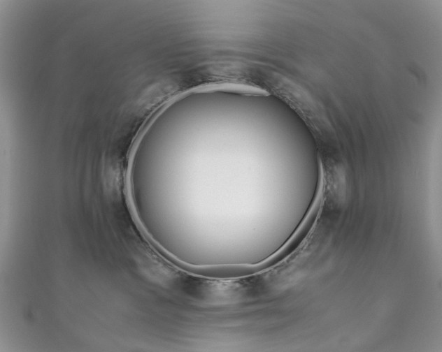 X0000111010333200906261525