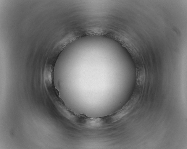 X0000111010334200906261525
