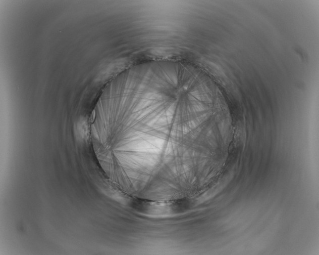 X0000111010335200906261525