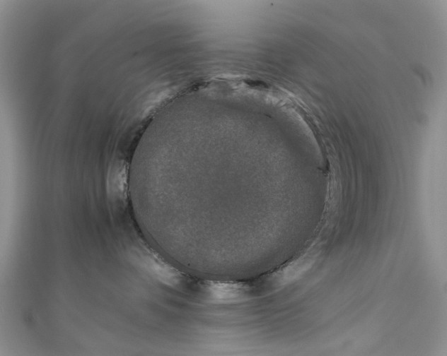 X0000111010336200906261525